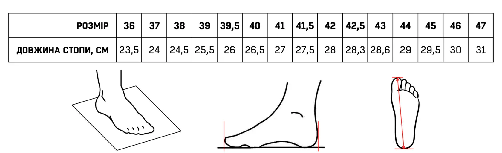 sizes